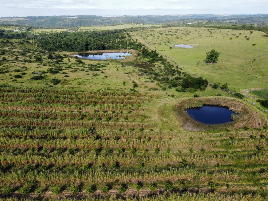 3 Bedroom Property for Sale in Kidds Beach Eastern Cape